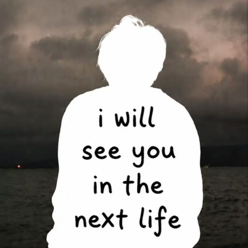I Will See You in the Next Life
