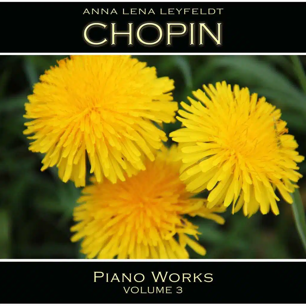 Chopin: Piano Works, Vol. 3