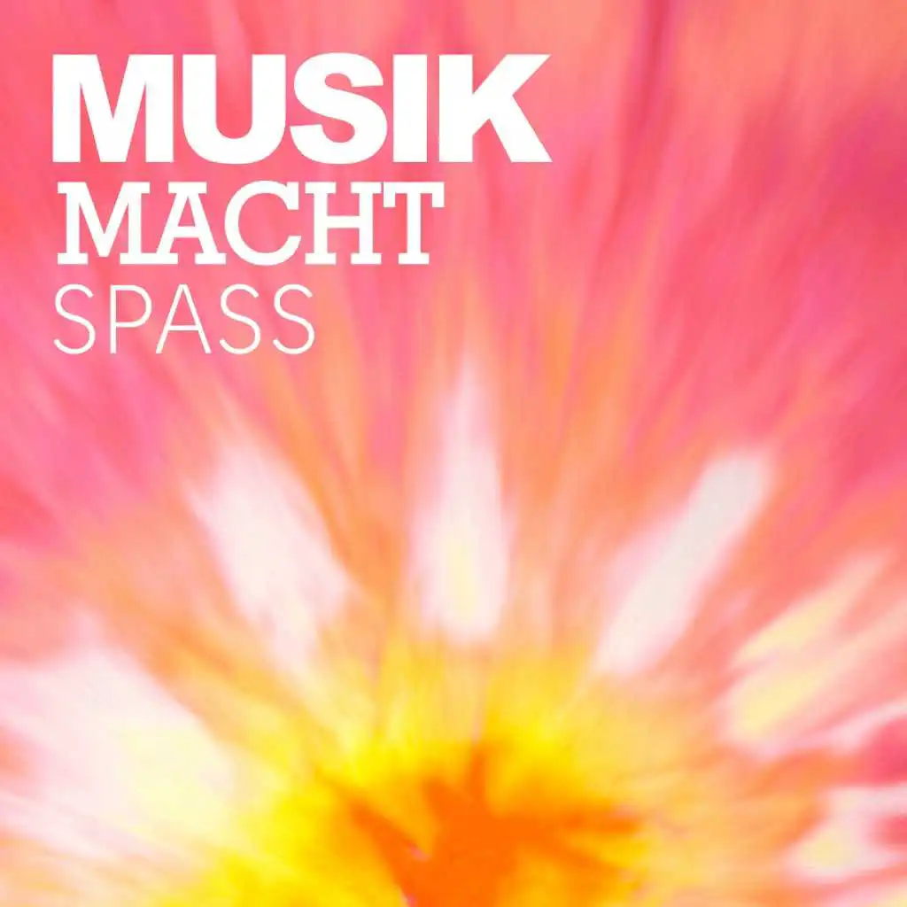 Musik macht Spass