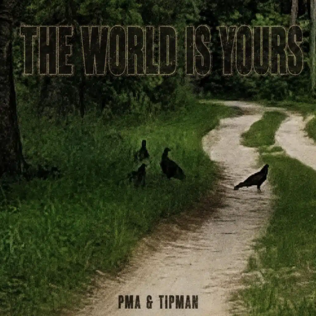 THE WORLD IS YOURS (feat. Tipman)