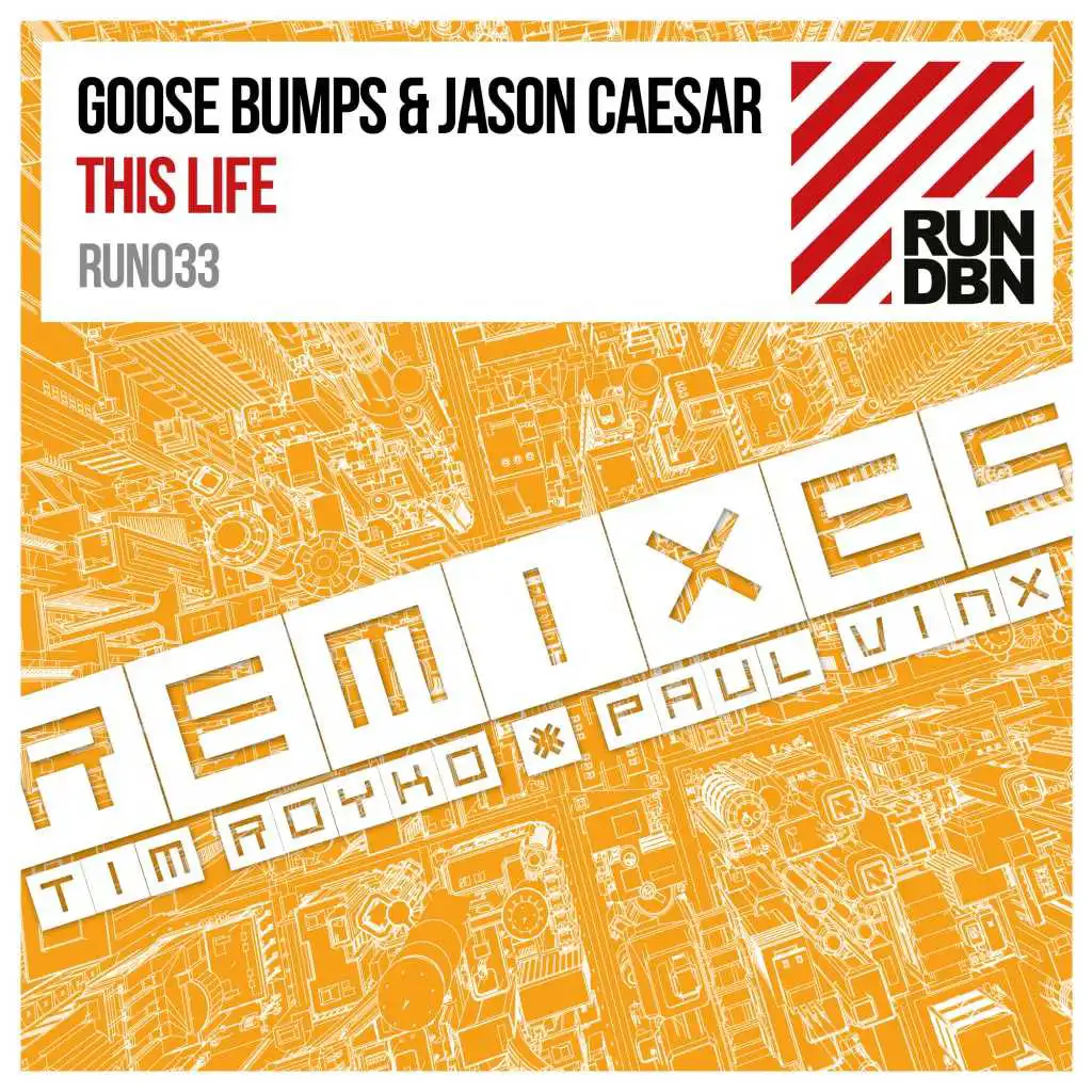 This Life (Paul Vinx Remix)