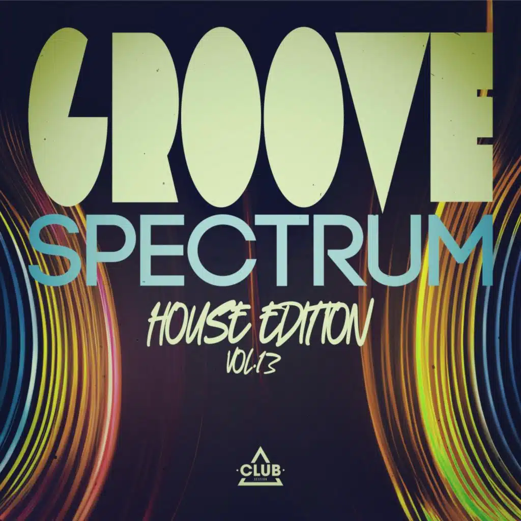 Groove Spectrum: House Edition, Vol. 13