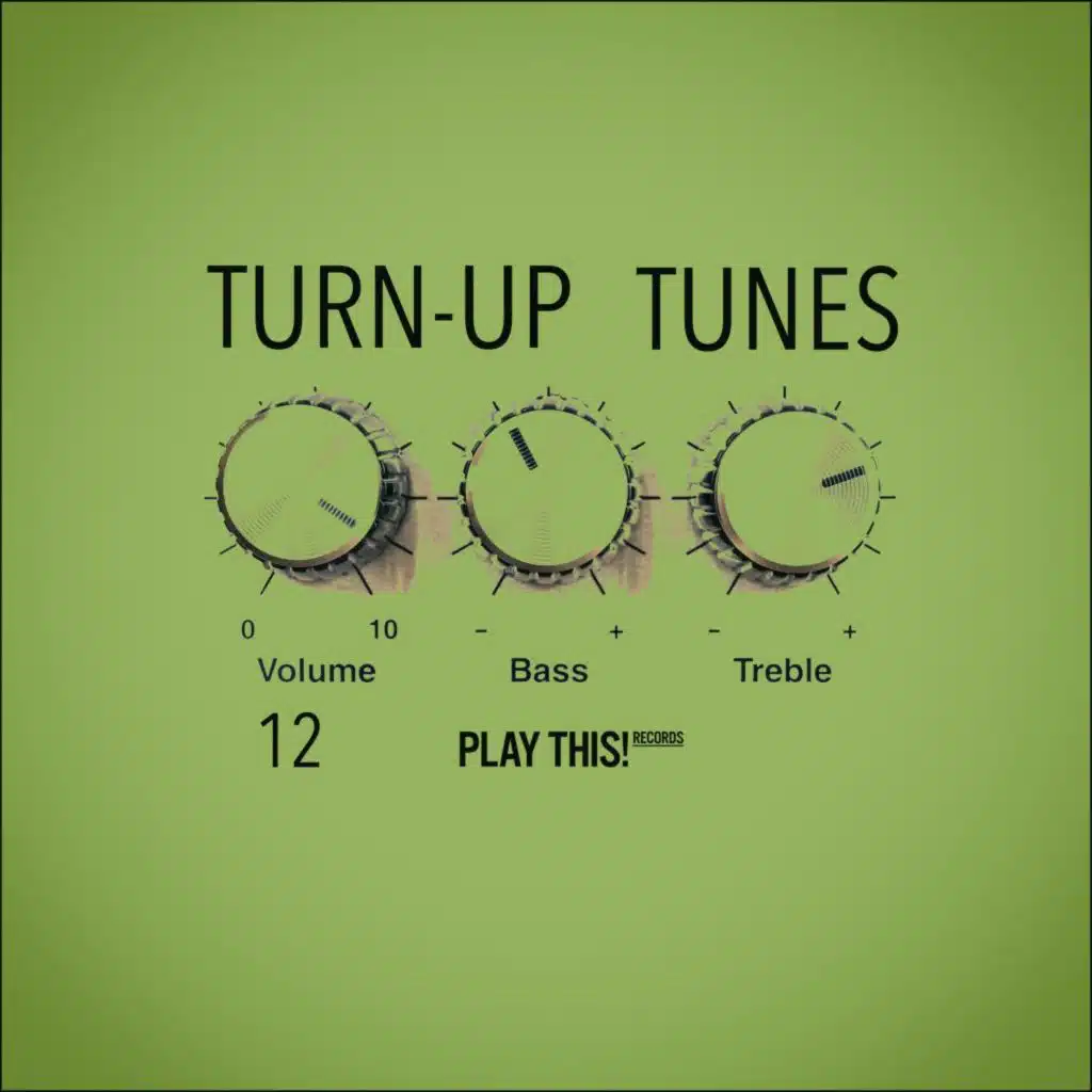 Turn-Up Tunes, Vol. 12