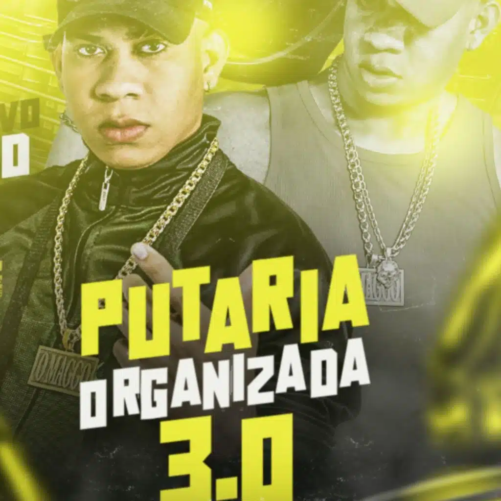 Putaria Organizada 3.0