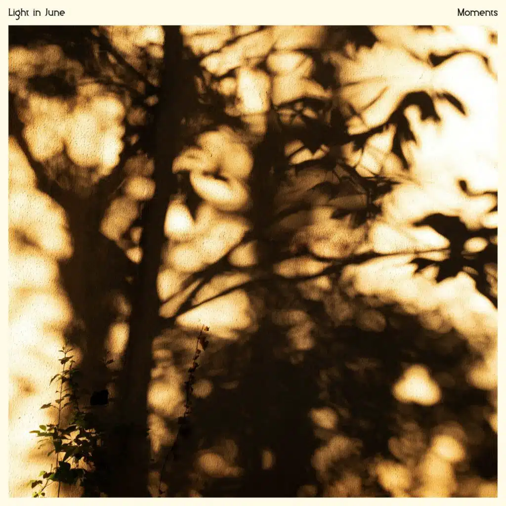 Light In June