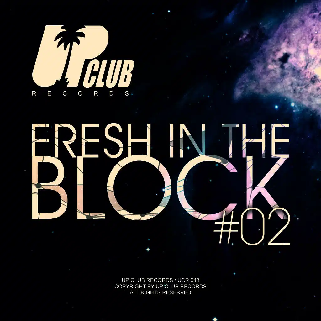 Fresh In The Block, Vol. 2