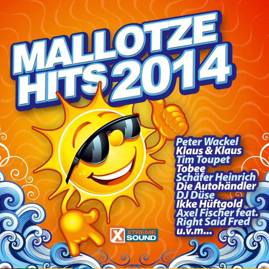 Mallotze Hits 2014