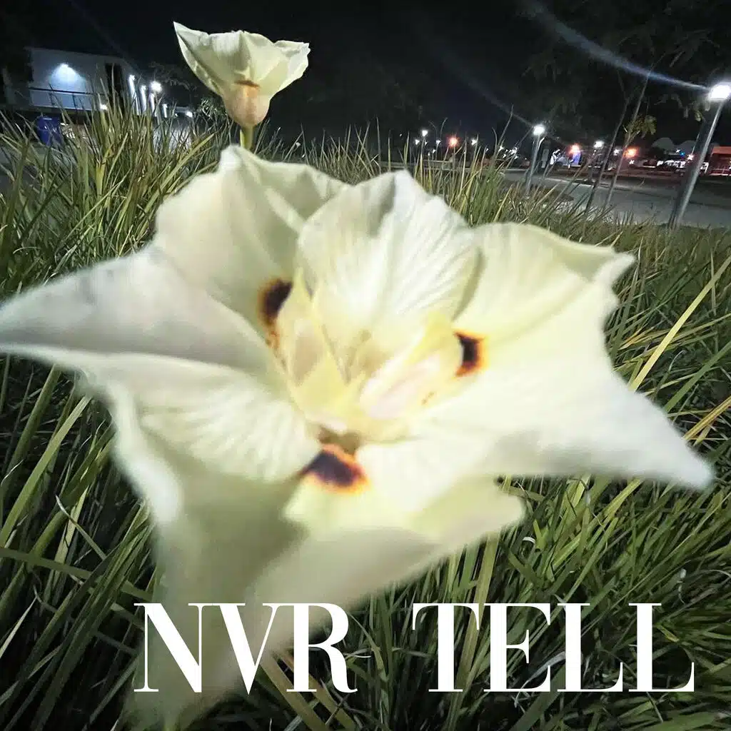 nvr tell