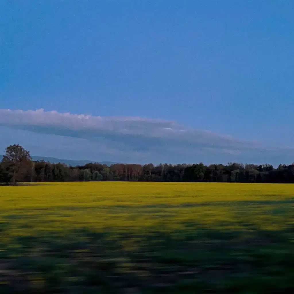 Field