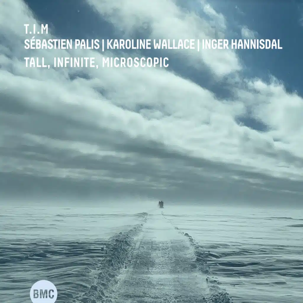 Tall, Infinite, Microscopic (feat. Karoline Wallace, Sébastien Palis & Inger Hannisdal)