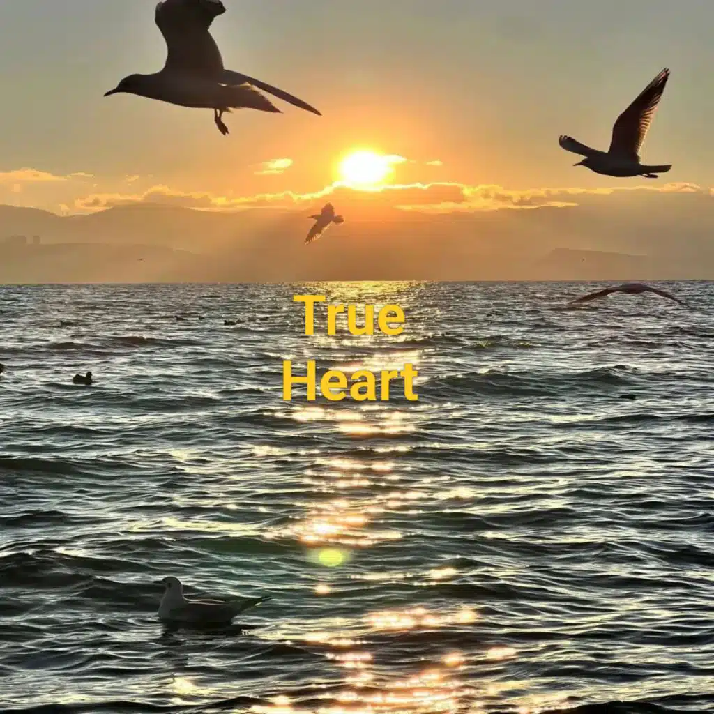 True Heart