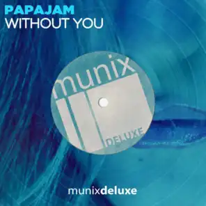 Without You (Radio Mix)