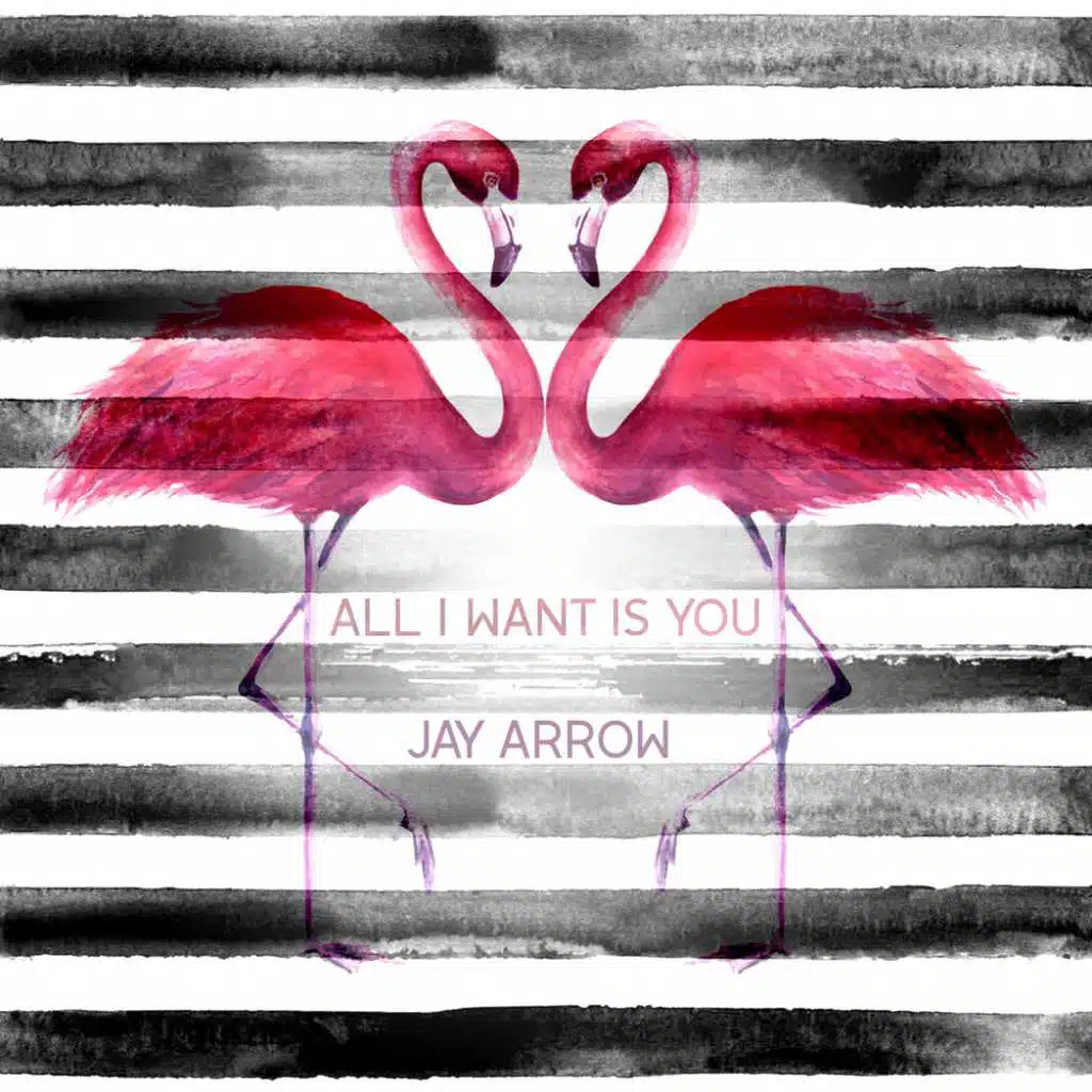 All I Want Is You (Instrumental)