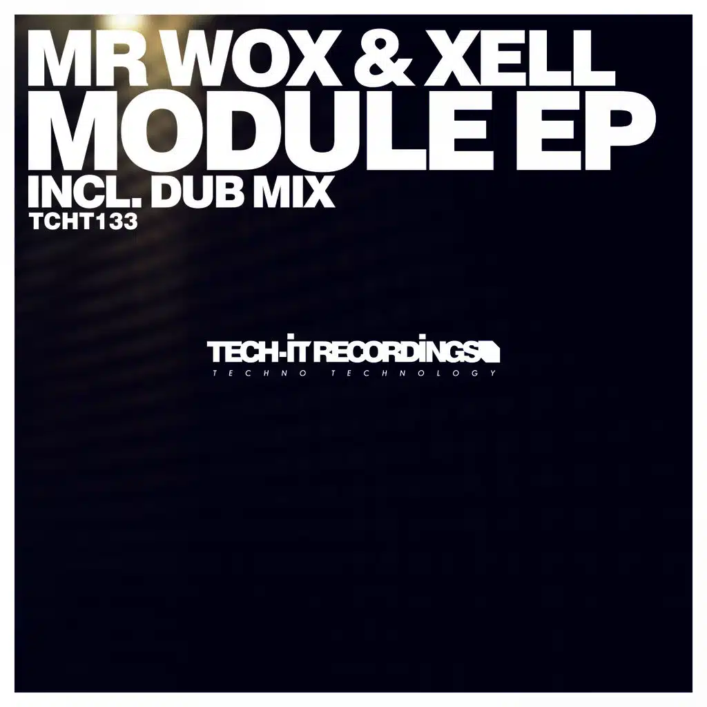 Module (Original Mix)