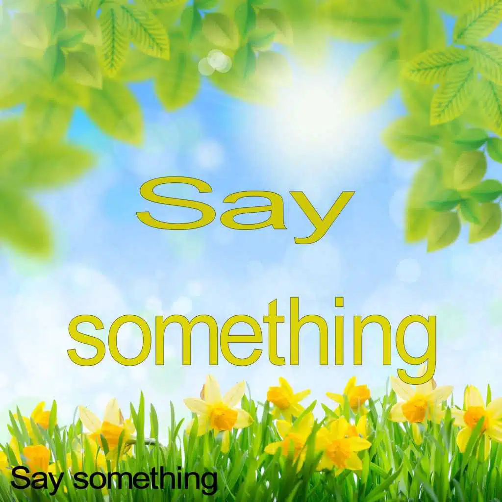 Say Something