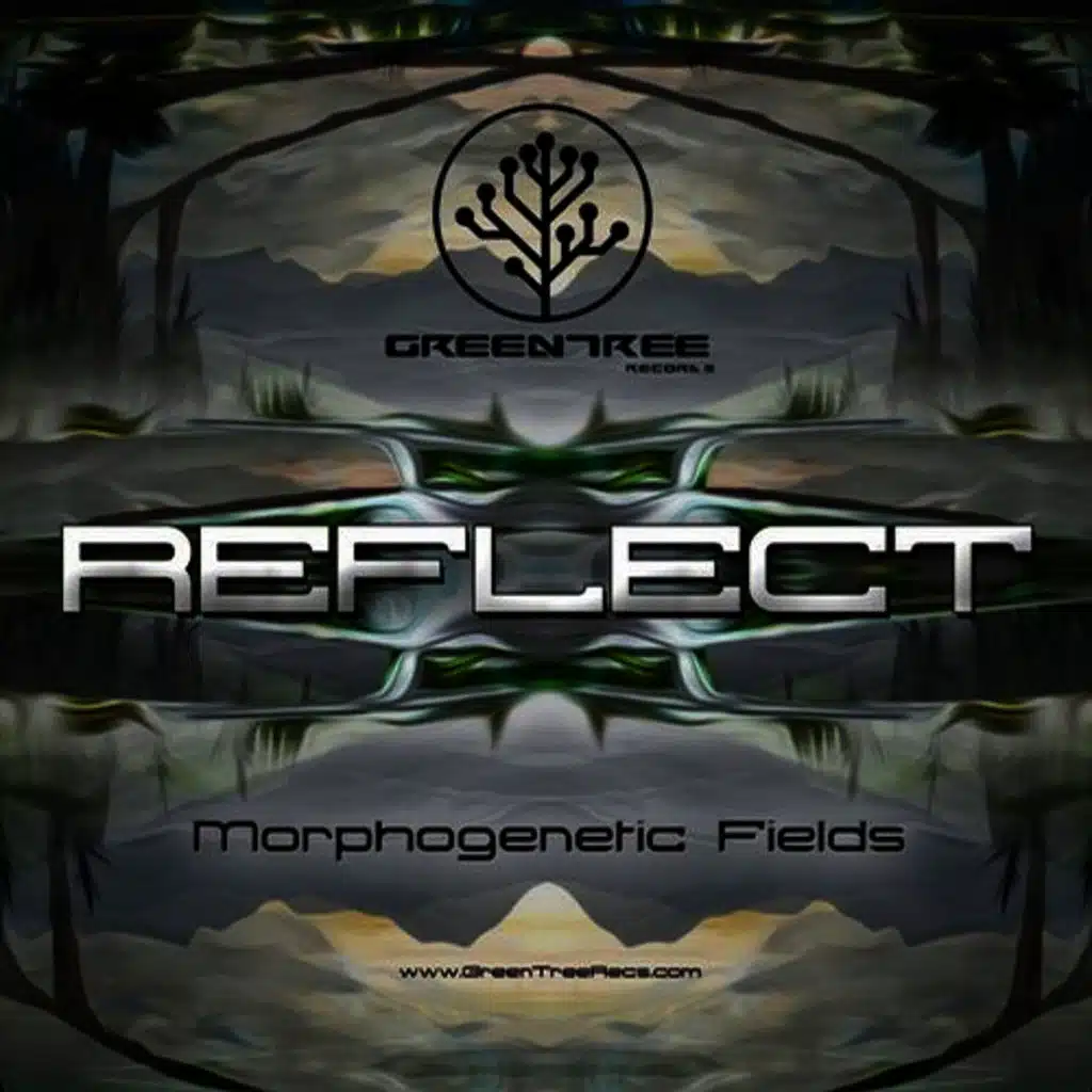 Morphogenetic Fields