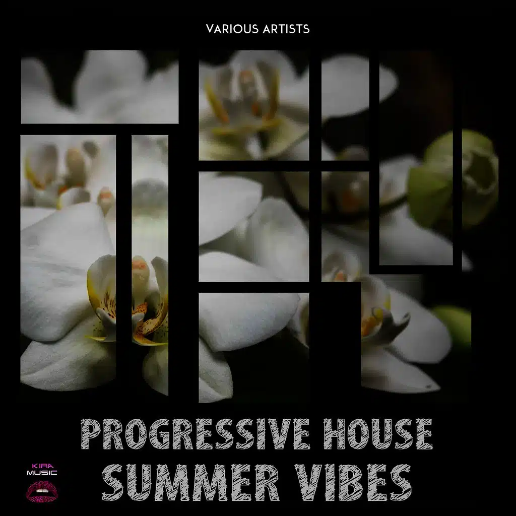 Progressive House Summer Vibes
