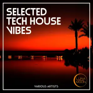 Selected Tech House Vibes