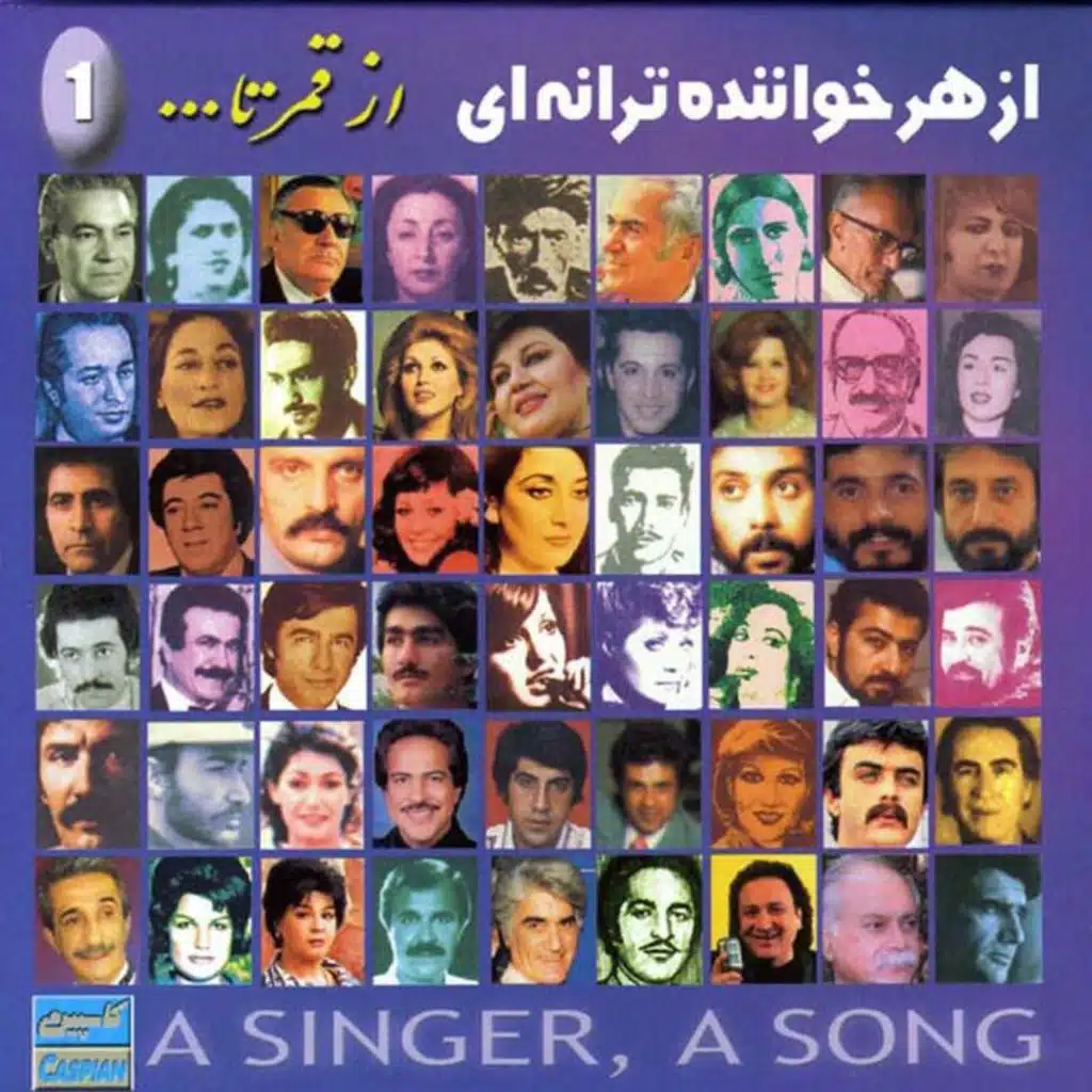 A Singer, A Song