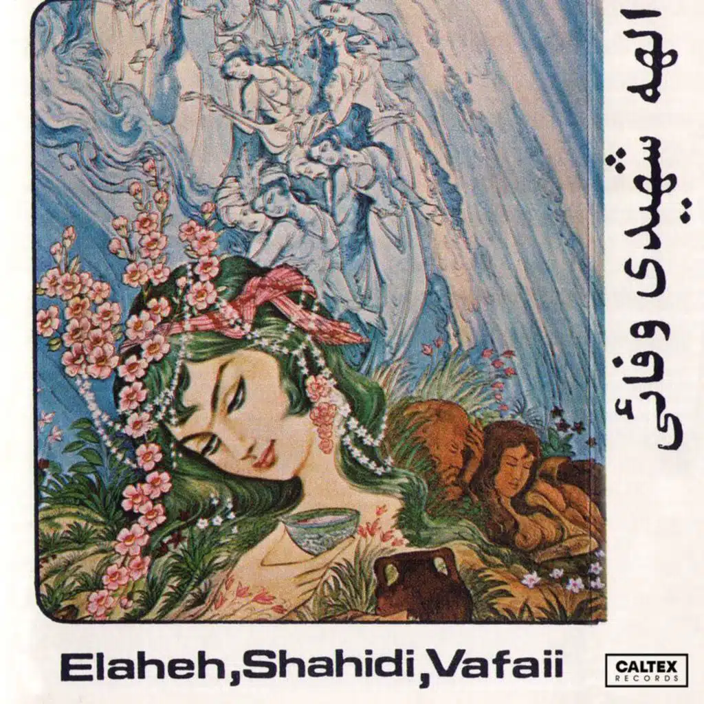 Elaheh-Jamal Vafaee-Shahidi