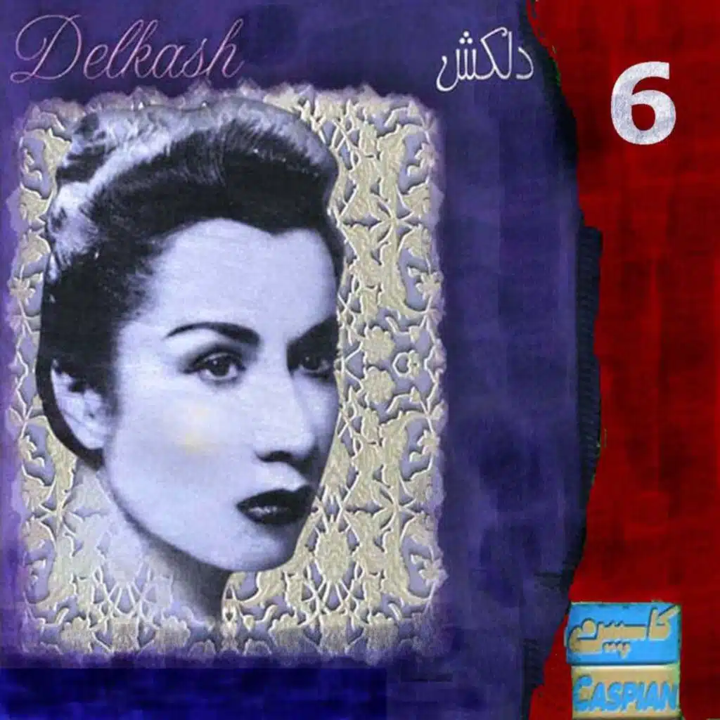 Delkash, Vol 6
