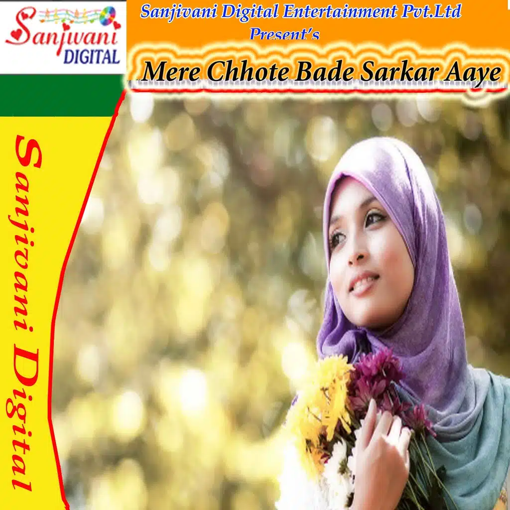Mere Chhote Bade Sarkar Aaye