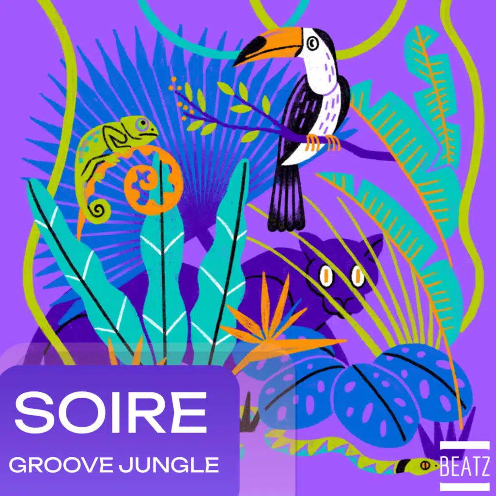 Groove Jungle