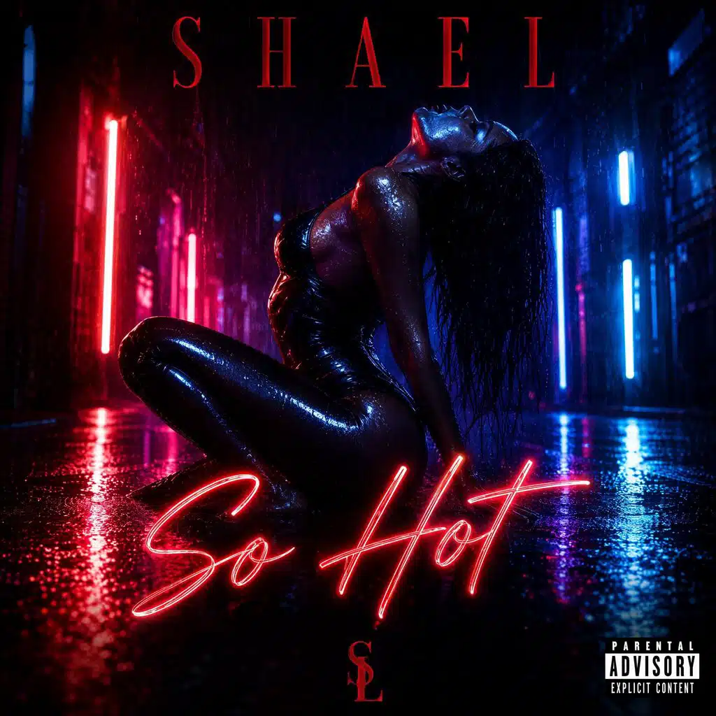 So Hot (The Remixes)