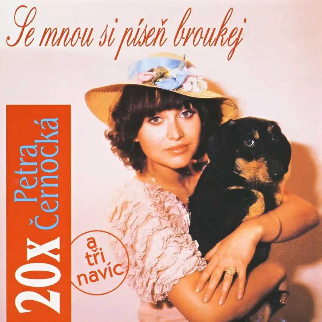 Setkání (feat. Zdenek Merta)