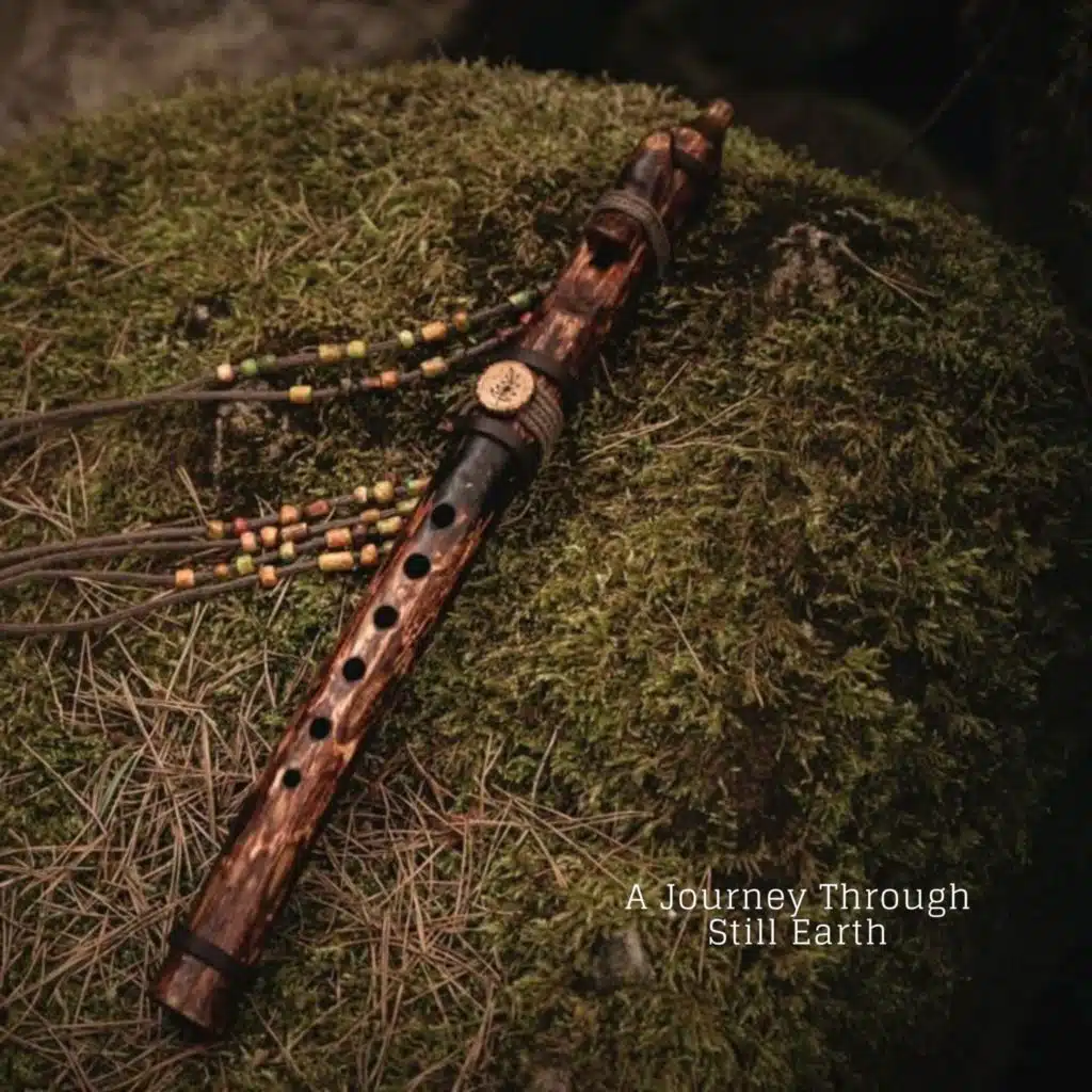 A Journey Through Still Earth