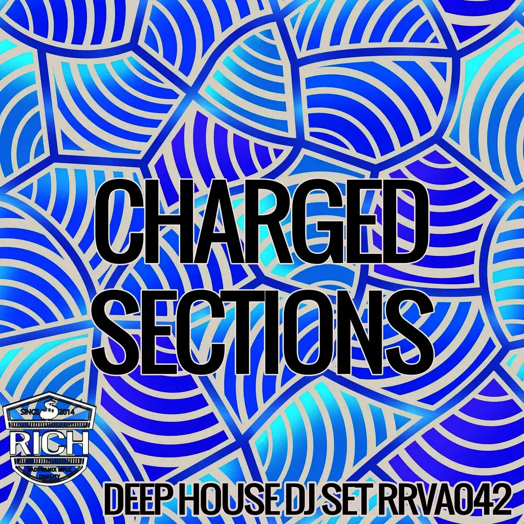 CHARGED SECTIONS