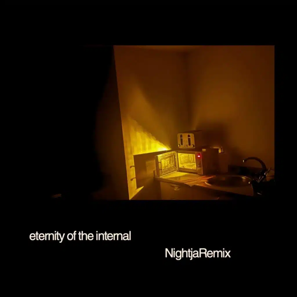 eternity of the internal (NightjaR Remix)
