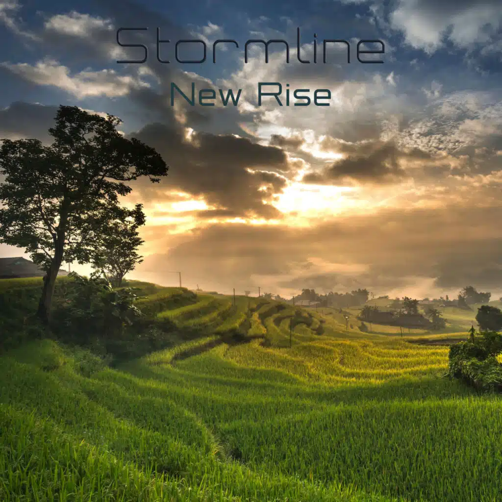 New Rise