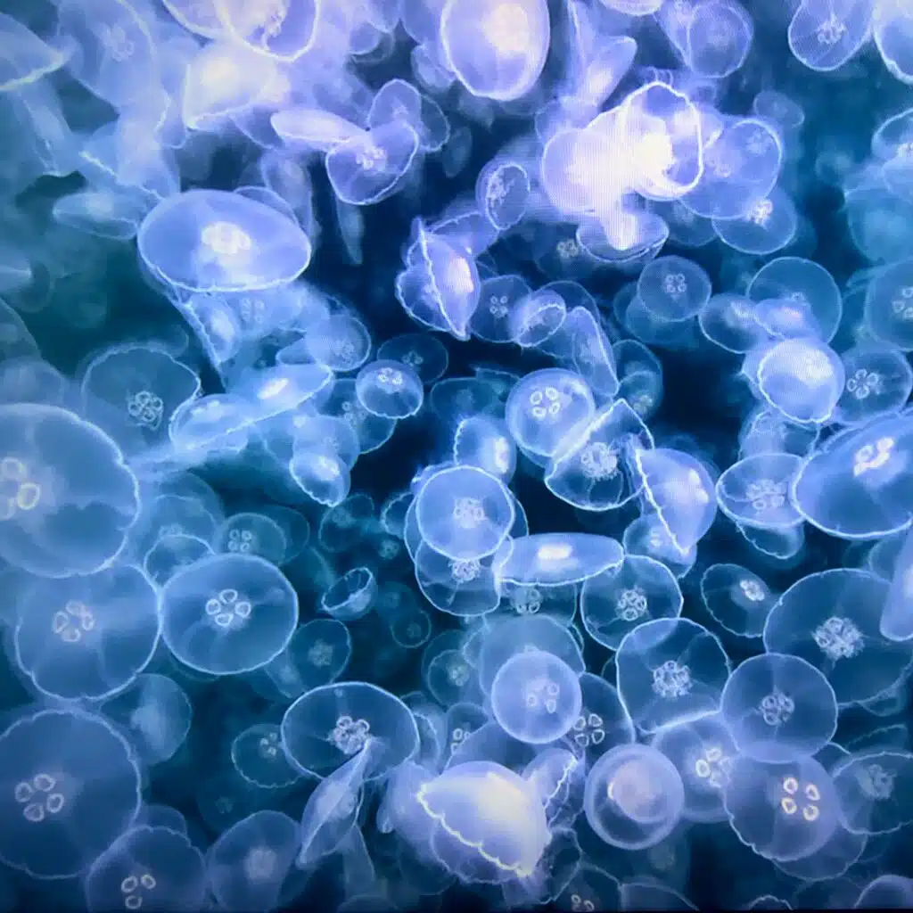 Finding Me