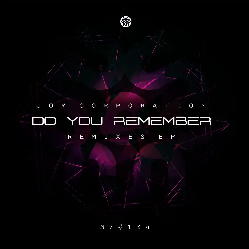 Do You Remember (Plastic Robots & Fellb Remix)