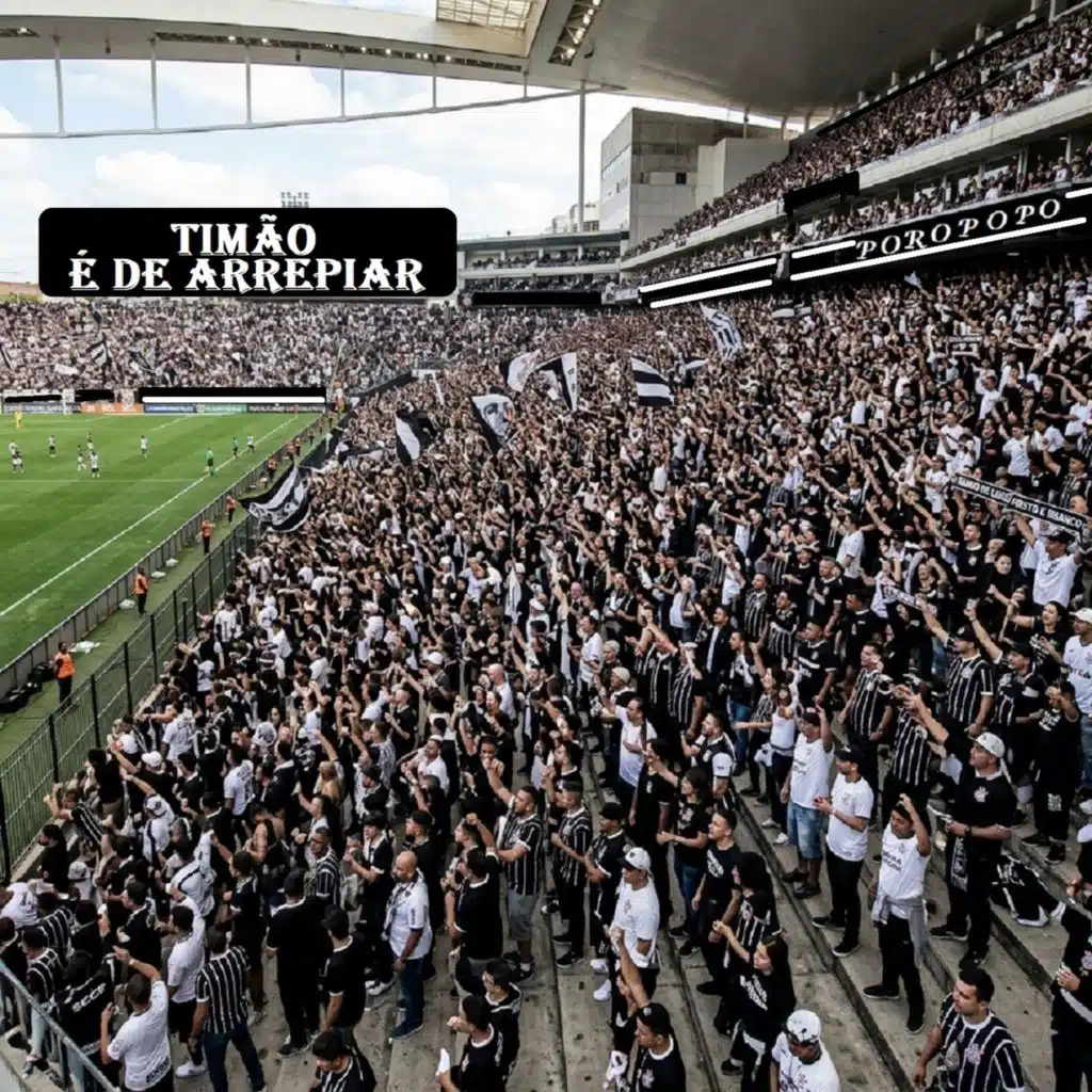 TIMÃO É DE ARREPIAR