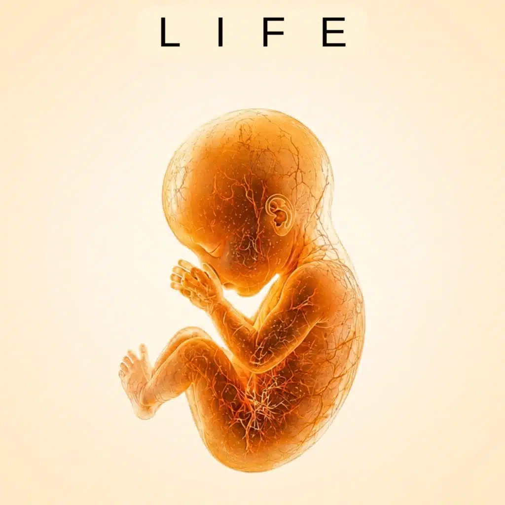 Life 2026