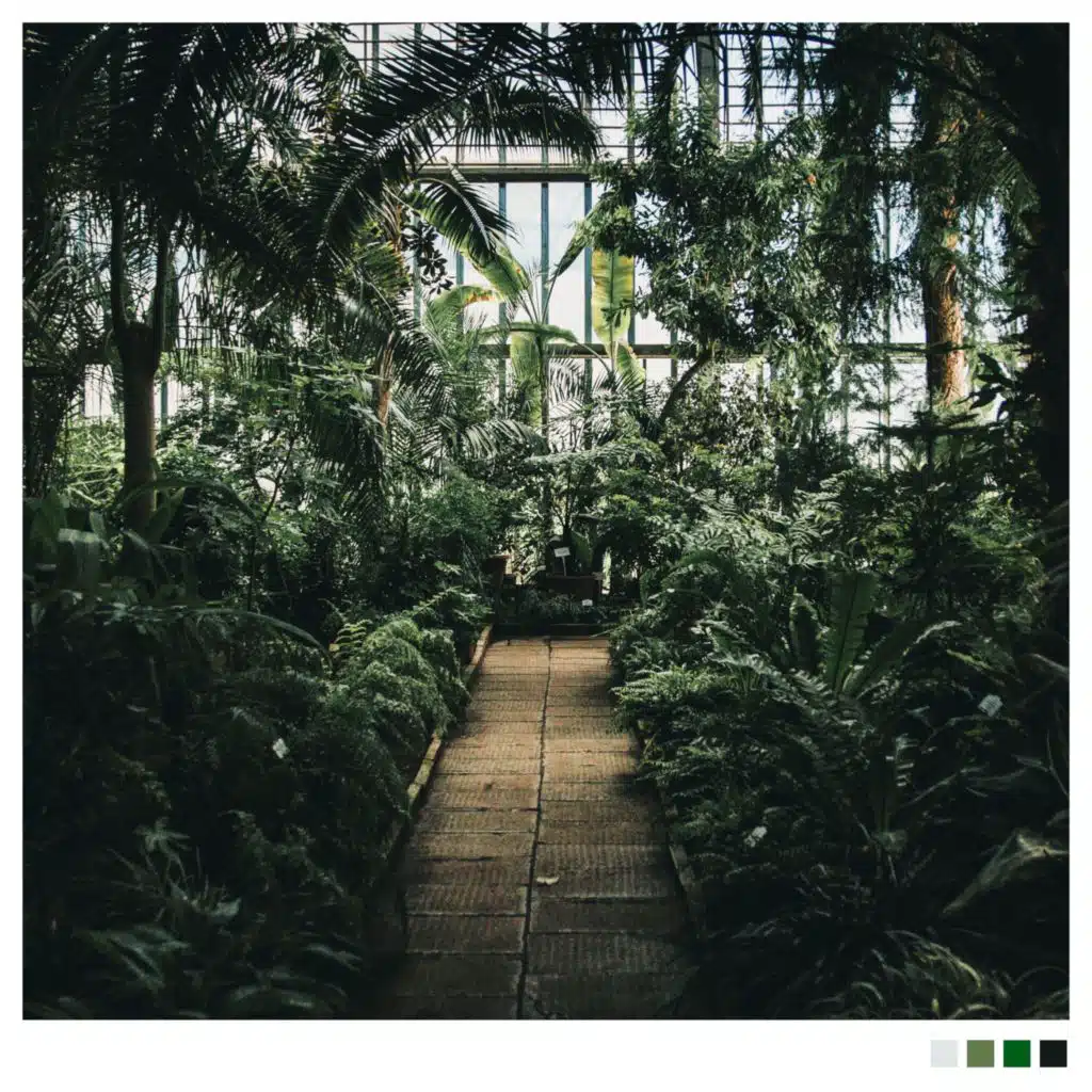 Greenhouse