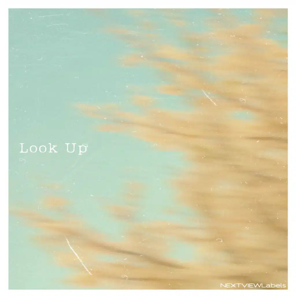 Look Up