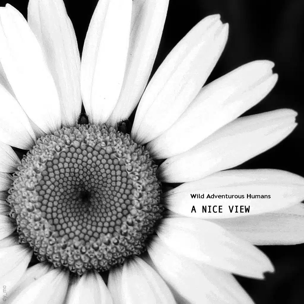 Free Run (Crimson Sunset Remix)