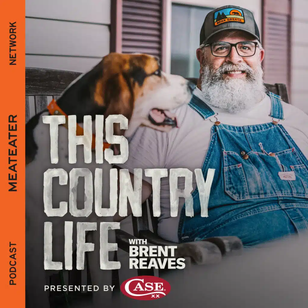 Ep. 483: This Country Life - First the Bear, Then the Bite
