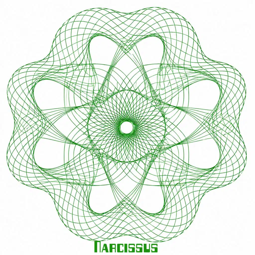 Narcissus