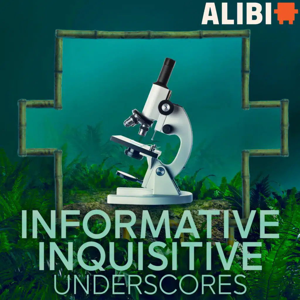 Informative Inquisitive Underscores