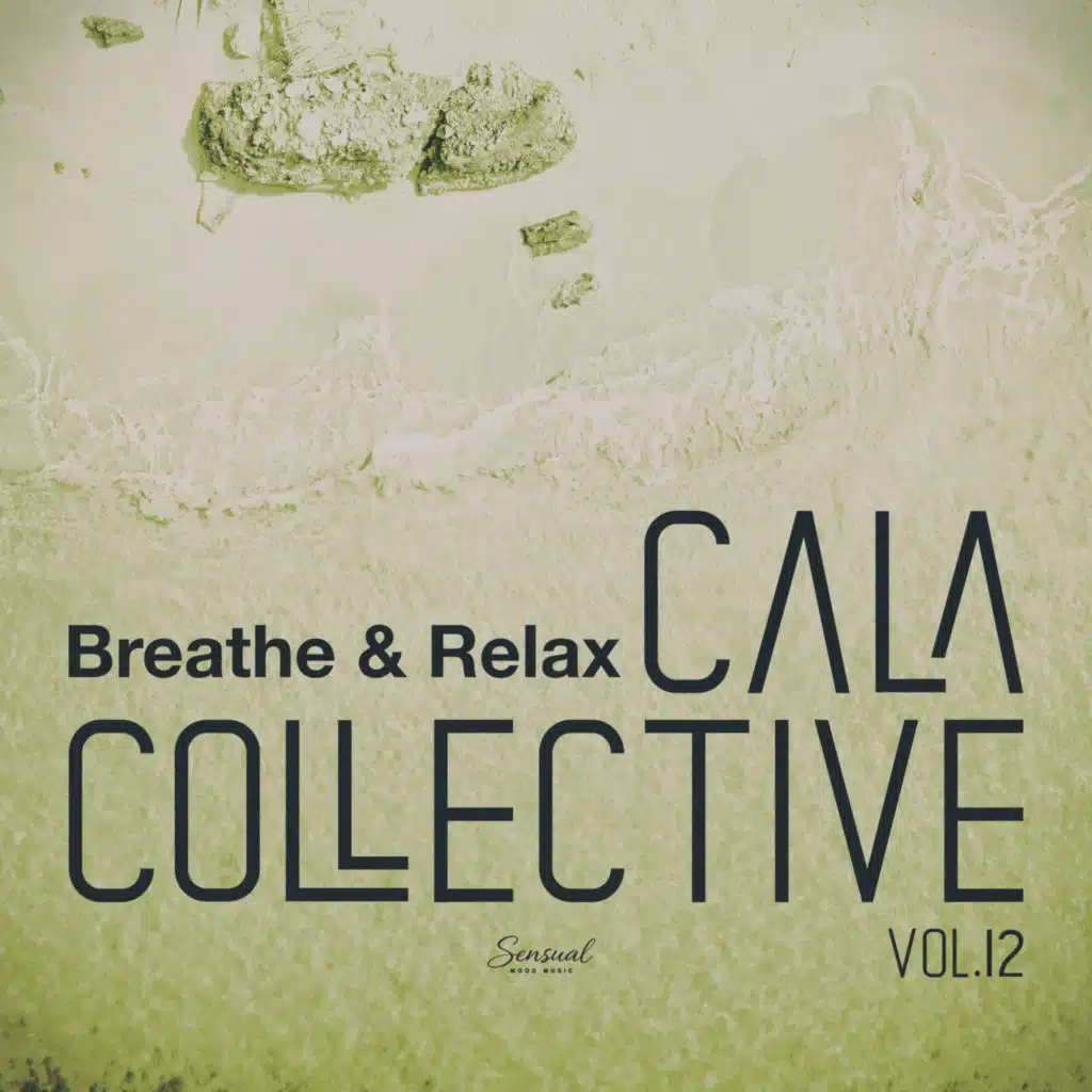 Cala Collective, Vol.12
