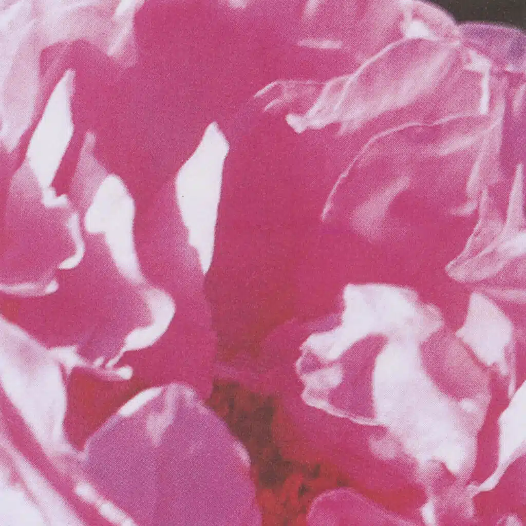 sub rosa