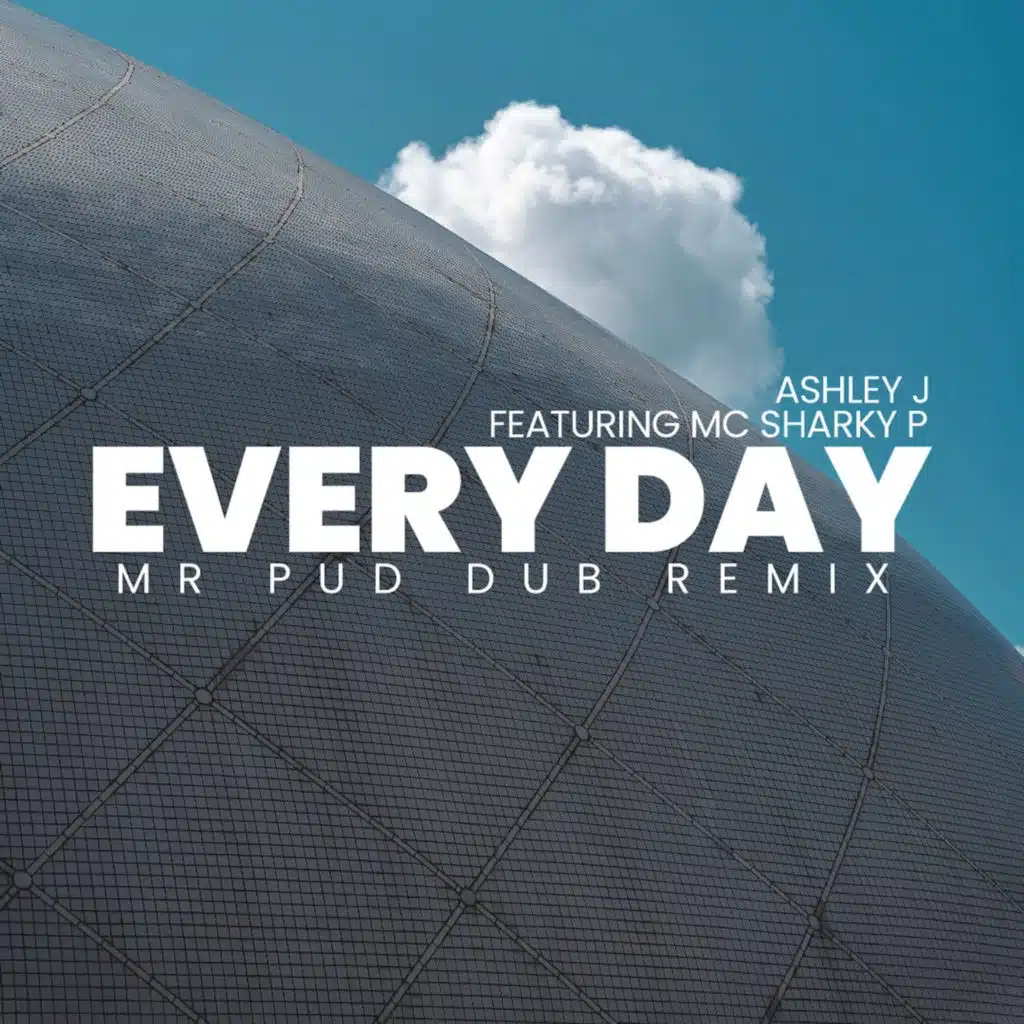 Every Day (Mr Pud Dub Remix) [feat. MC Sharky P]