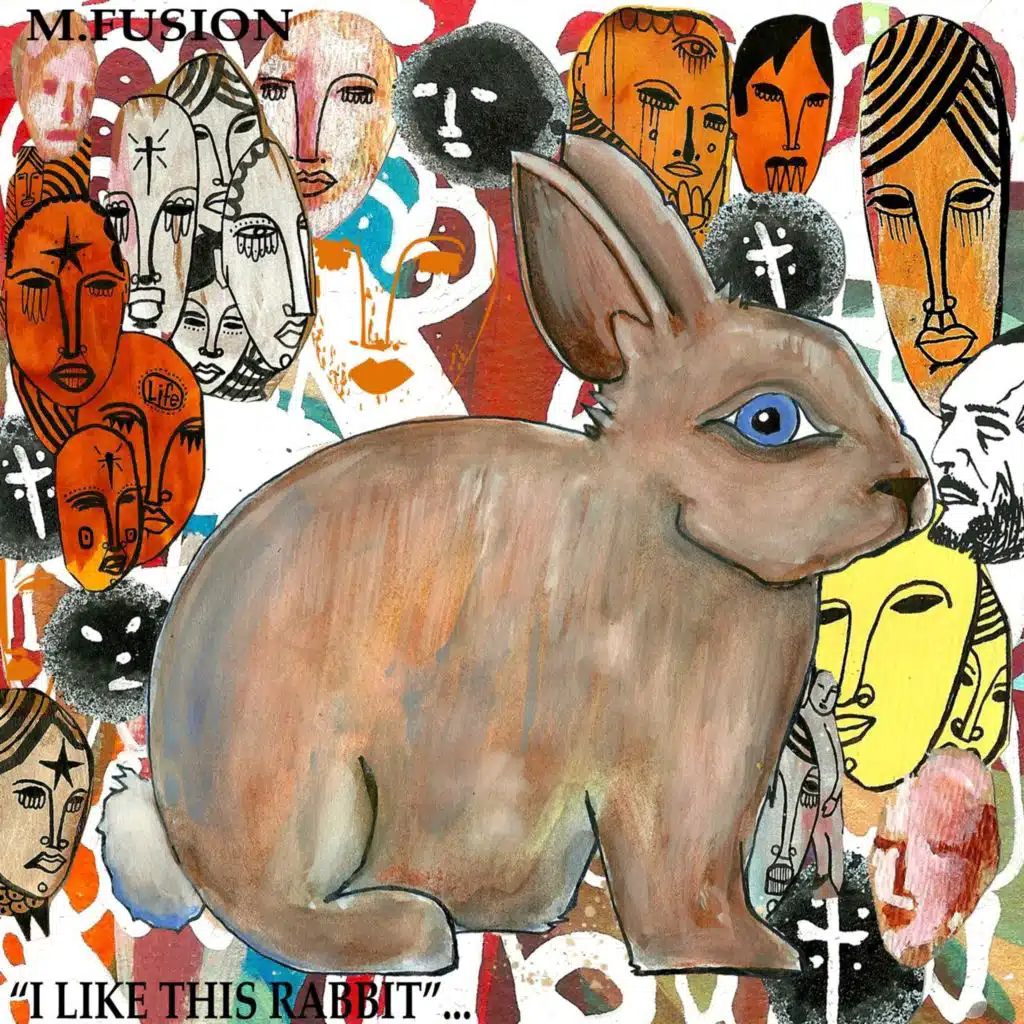 I Like This Rabbit