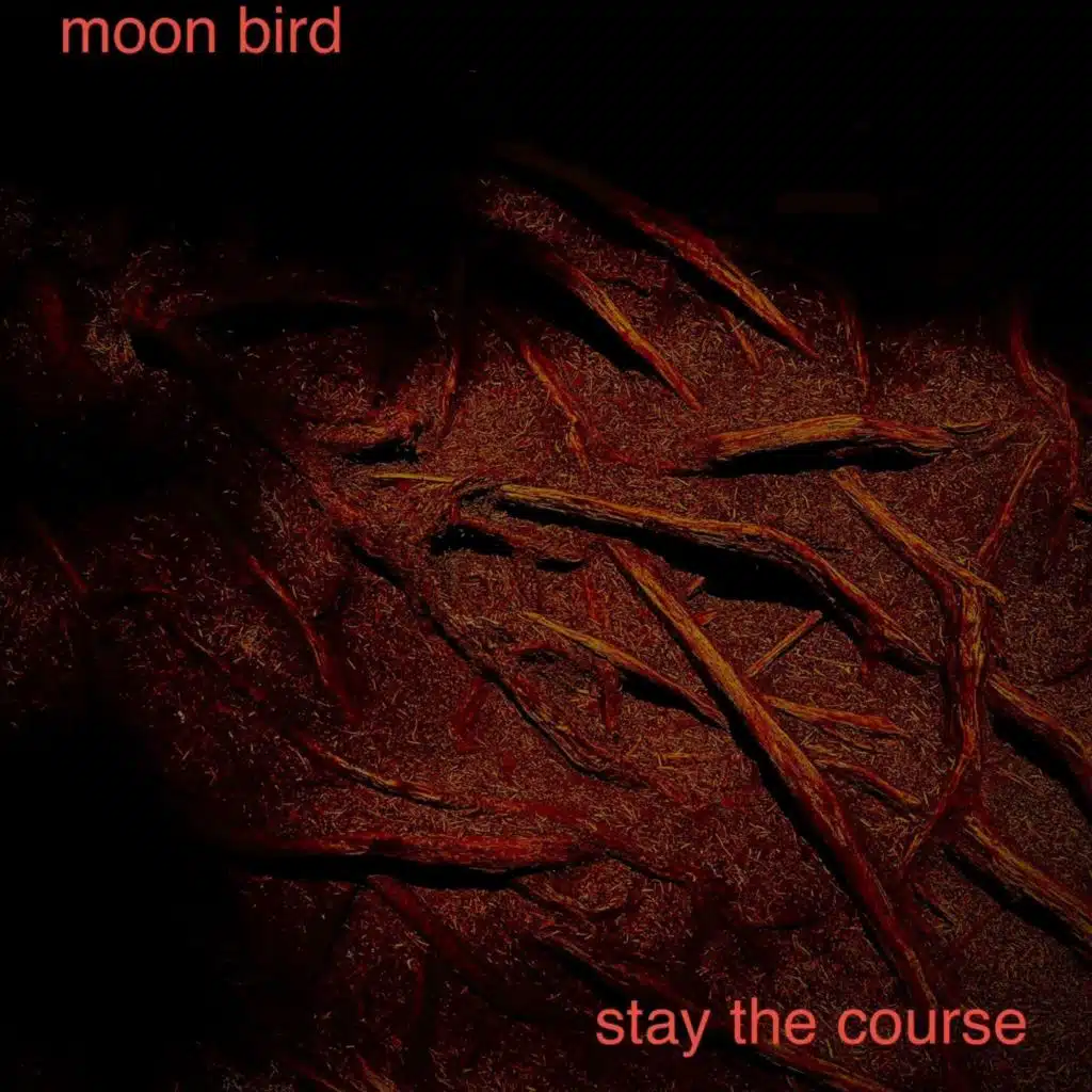 Stay the Course