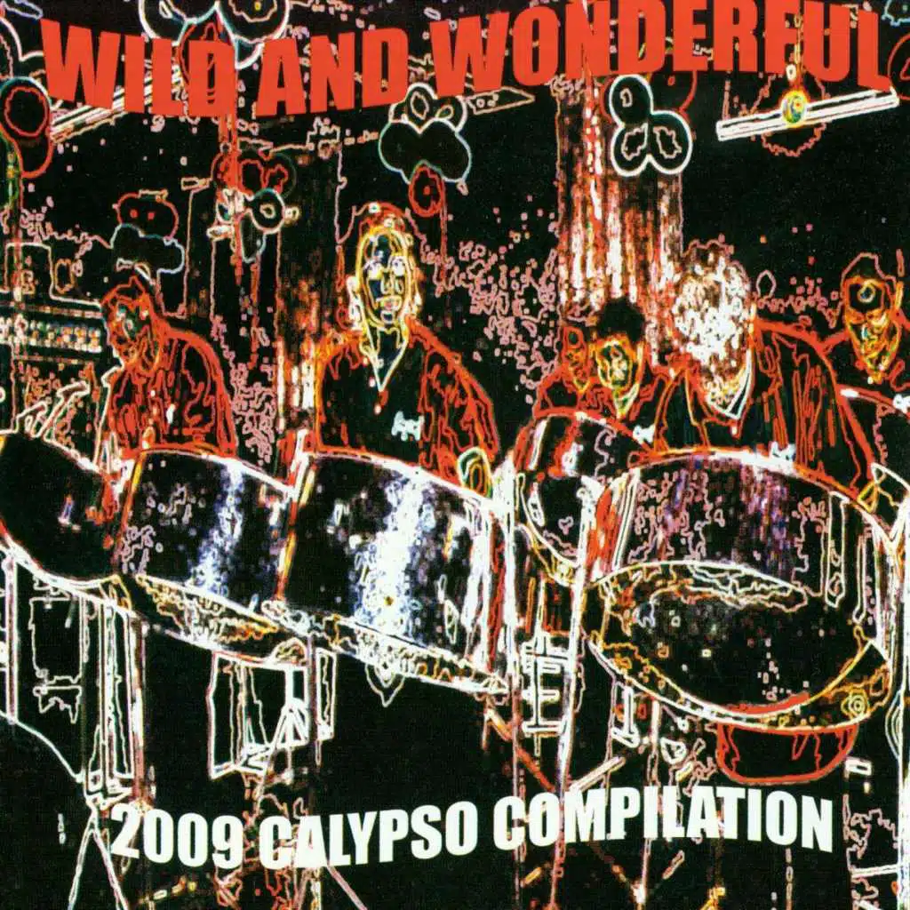 Wild and Wonderful – 2009 Calypso Compilation