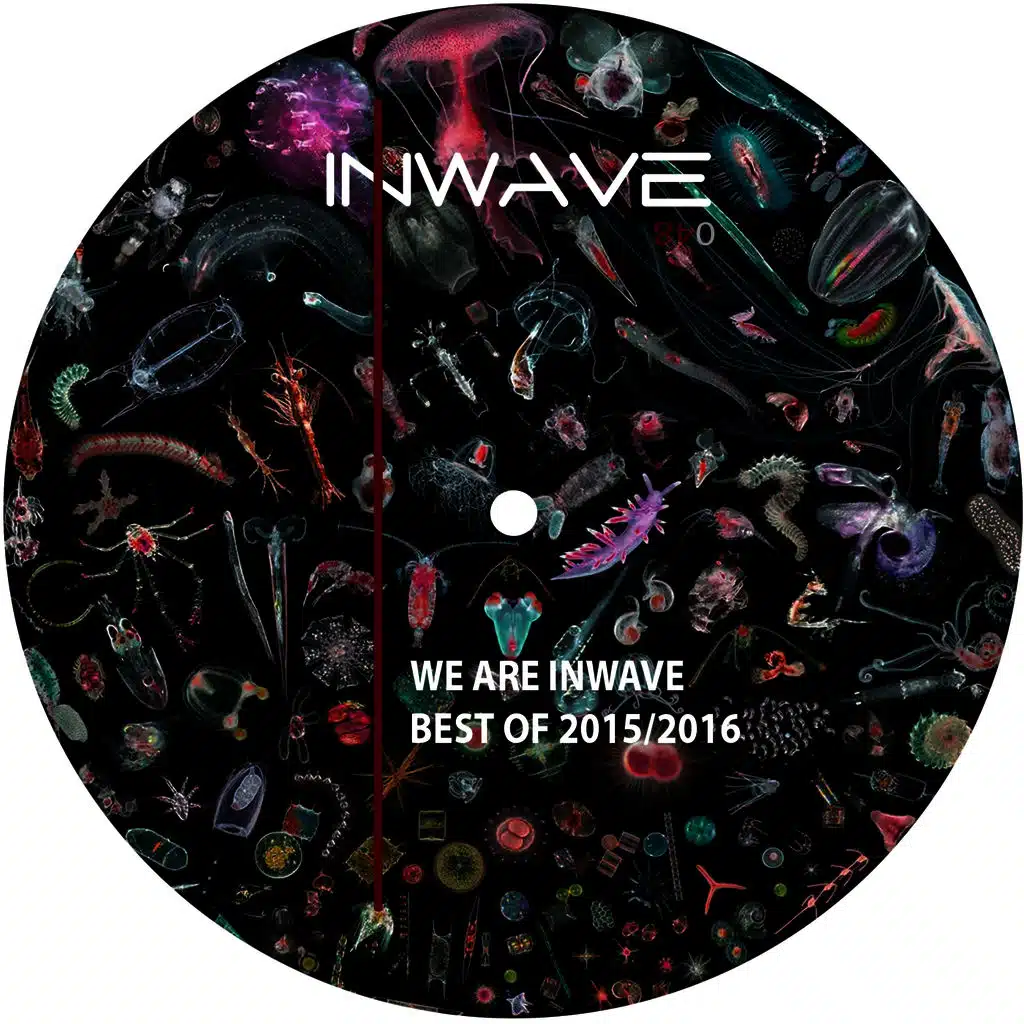 Pripote (Counrad Heaven Edit)